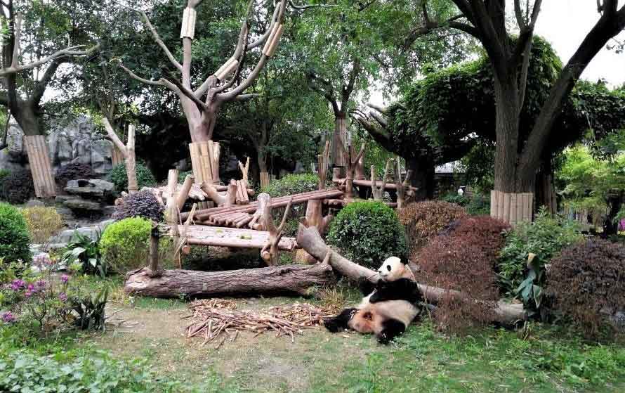 杜甫草堂 武侯祠 大熊猫繁育基地 大足石刻