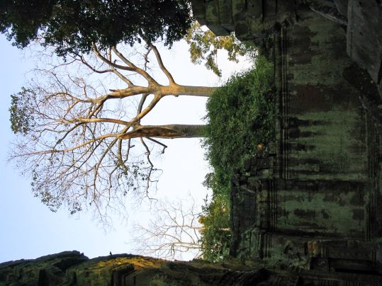 Ta Prohm