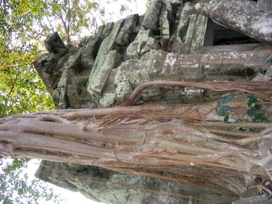 Ta Prohm