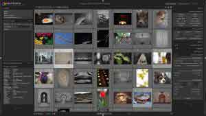 darktable