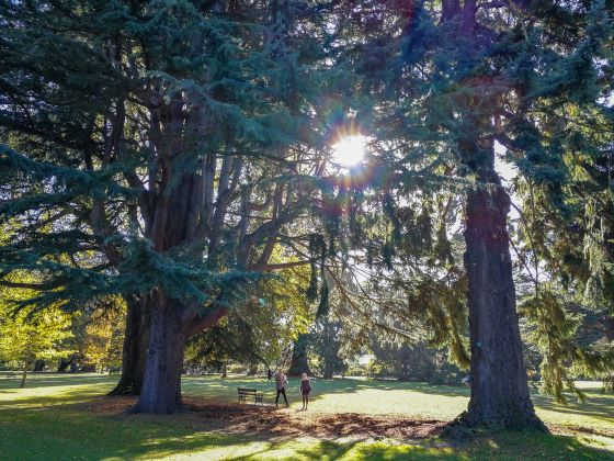 christchurch