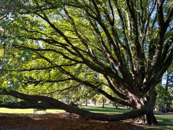 christchurch