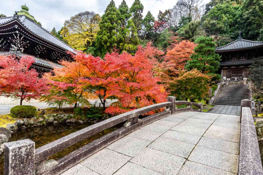 色彩斑斓的关西 – 京都