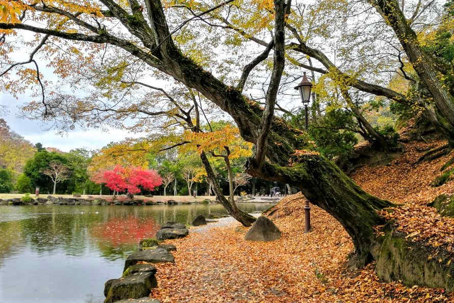 nara-japan