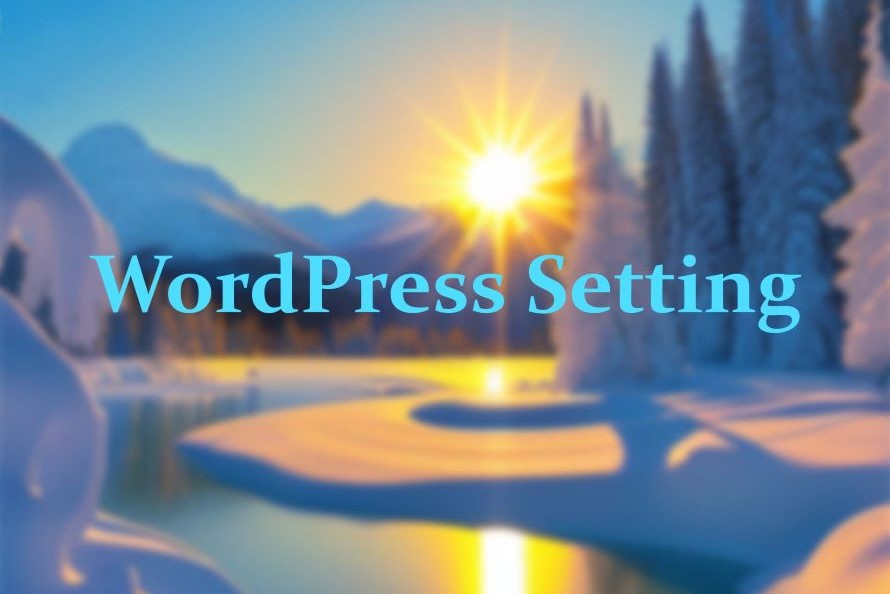 howto use wordpress setting api